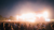 Festivalgæster om aftenen i lyset fra et stort sceneshow.